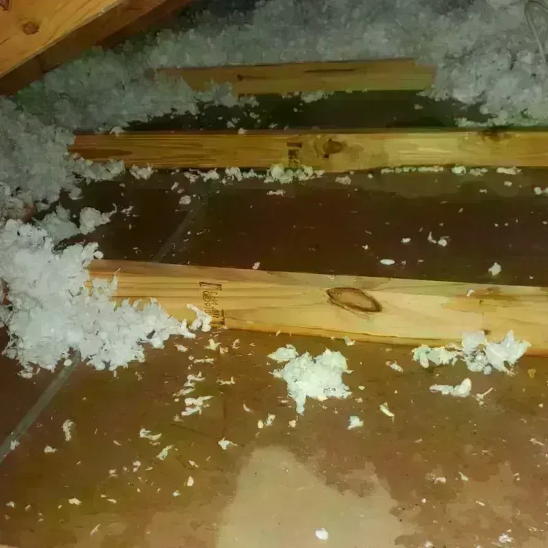 Attic Water Damage in Merrill, WI