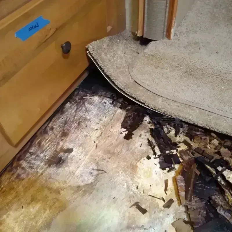 Wood Floor Water Damage in Merrill, WI